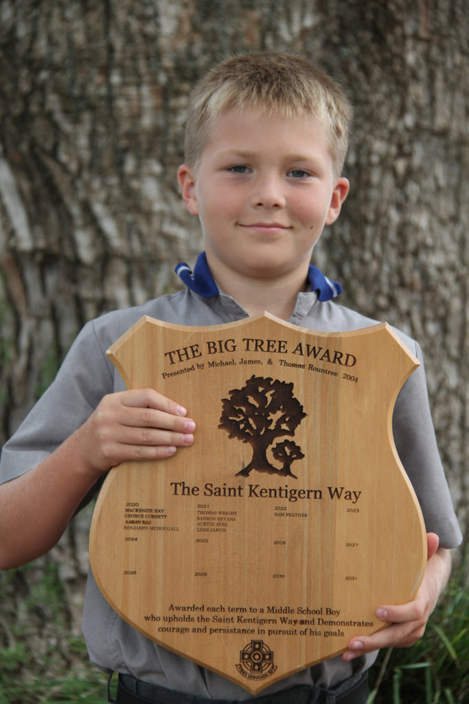 Big tree – Sam